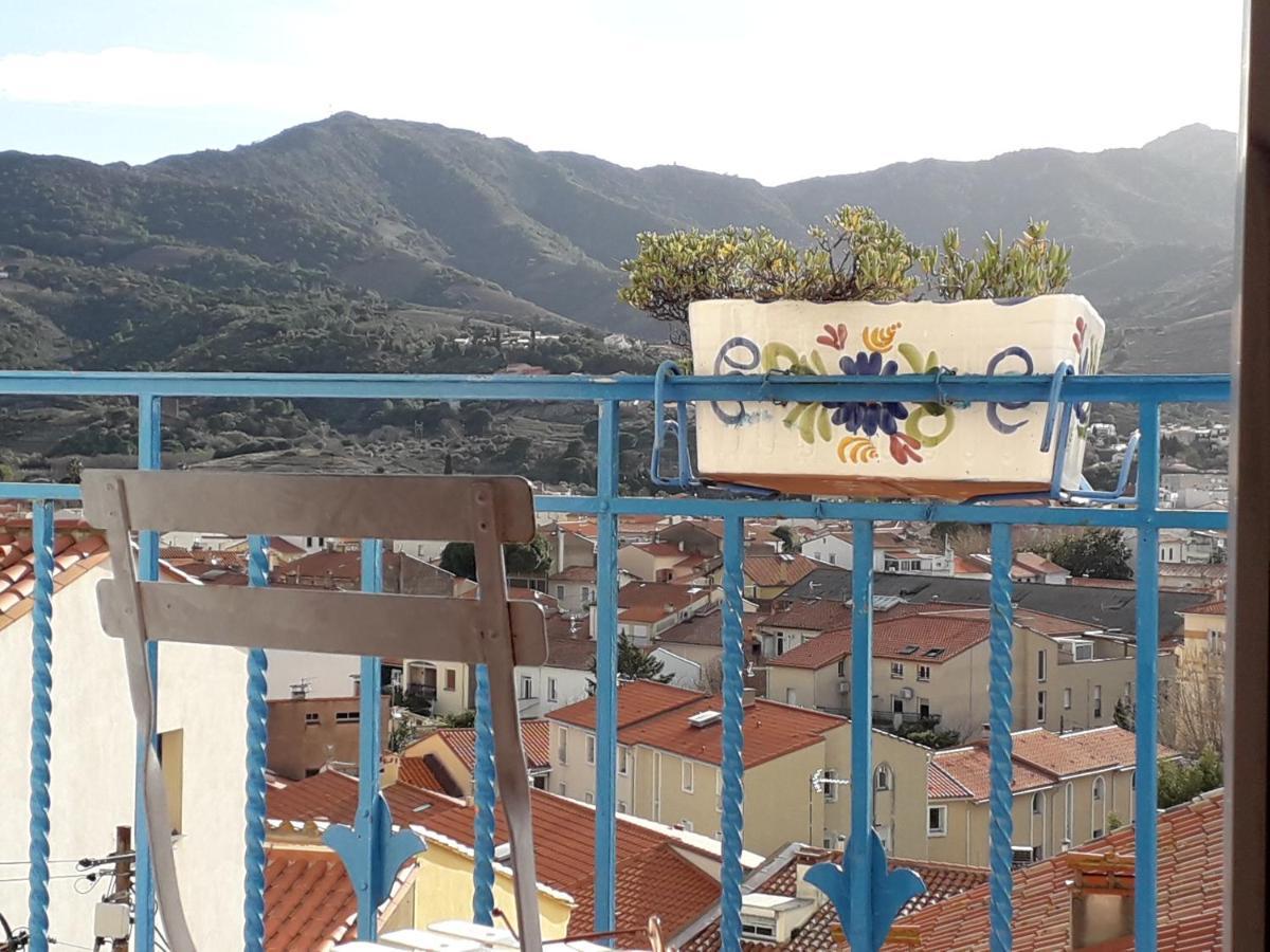 Banyuls La Grande Bleue : Studio T1 Zewnętrze zdjęcie