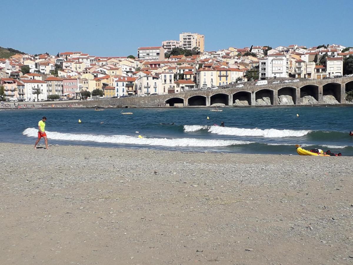 Banyuls La Grande Bleue : Studio T1 Zewnętrze zdjęcie