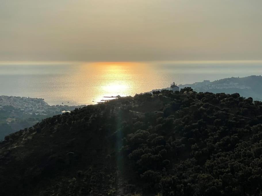 Banyuls La Grande Bleue : Studio T1 Zewnętrze zdjęcie