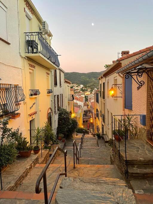 Banyuls La Grande Bleue : Studio T1 Zewnętrze zdjęcie
