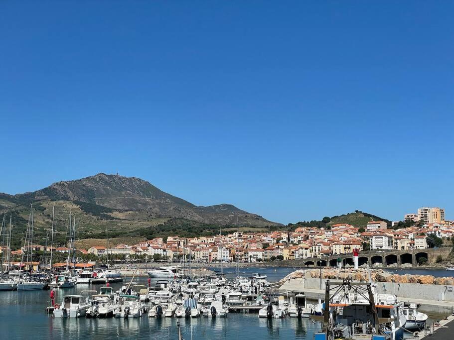 Banyuls La Grande Bleue : Studio T1 Zewnętrze zdjęcie